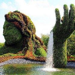绿雕雕塑与园艺的完美融合