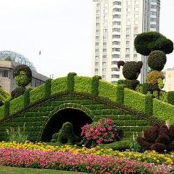 上海最美十大靠谱菠菜平台